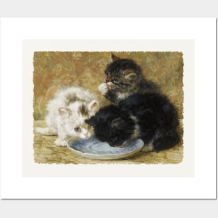 Kittens drinking from a saucer Posters and Art